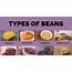 Types Of Beans Are One The Most Perfect Foods Out There 