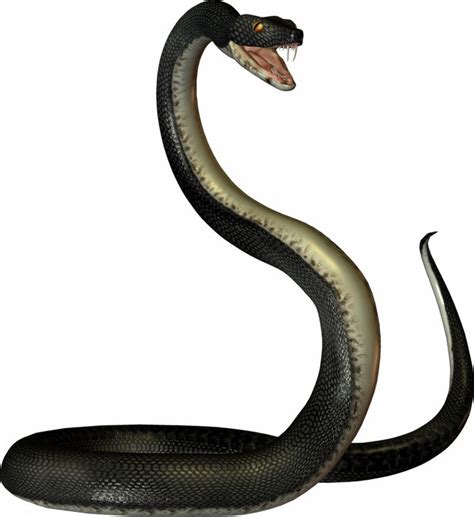 26 Serpent Png Transparent Sinobhishur