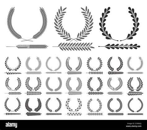 Set Of Wreaths And Branches Vector Illustration Laurel Wreath