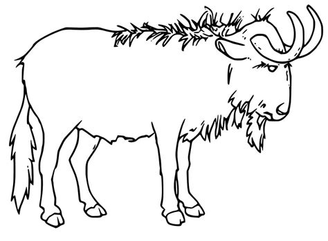 Wildebeest Coloring Page Coloring Pages