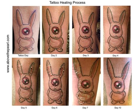 Keep the bandage that your tattoo artist applied on for at least a few hours before gently removing it, washing your tattoo with lukewarm water and antibacterial soap, then patting the skin dry. Tattoo Healing Process | Above The Pearl Tattoo Studio