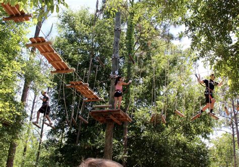 petiterosedesigns: Orlando Tree Trek Adventure Park