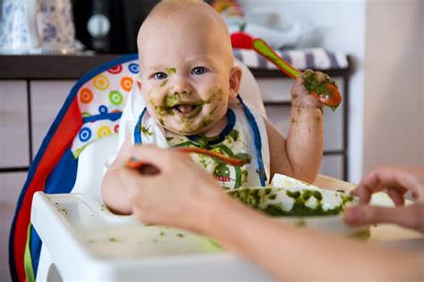 Free samples & coupons · no.1 with pediatricians · free belly badges Take the stress out of starting solids! | Swaddlenot