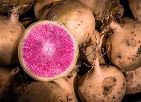 13 Unusual Root Vegetables To Explore