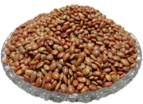 Why does it call as horse gram? Health Benefits of Kollu (Horse Gram) - The Indian Med