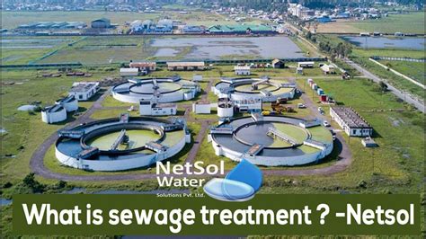 What Is Sewage Treatment Plant Stp Plant All The Detailed About