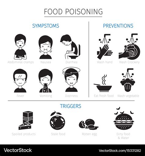 Food Poisoning Symptoms Triggers And Preventions Vector Image