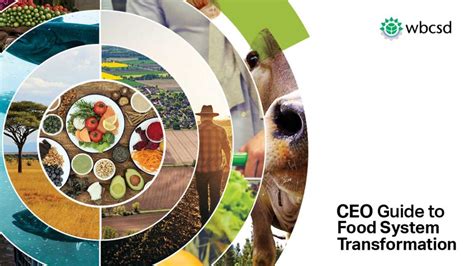 Ceo Guide To Food System Transformation World Business Council For