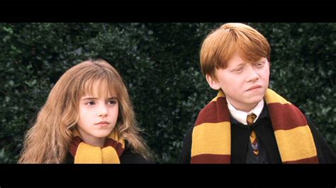 It wasn't ron, which also but hermione's always there for harry. My Magical Journey: Ron & Hermione(:
