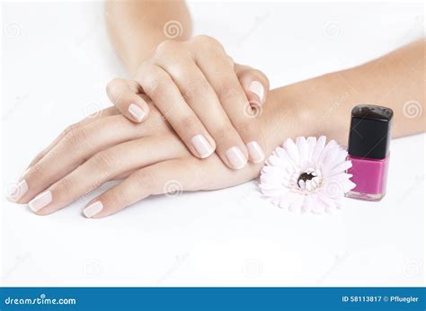 Manicured Nails With Nail Polish Stock Image Image Of Female