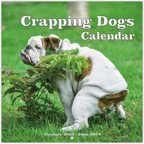 Funny Calendar 2024 Calendar Printables