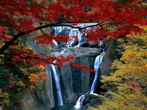 Waterfall Landscape Autumn Trees Rock Hd Wallpapers
