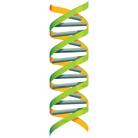 Download High Quality Dna Clipart Vector Transparent Png Images Art