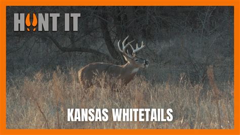 Kansas Whitetails Youtube