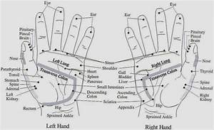 Hand Reflexology Chart Aromatherapy Well Being