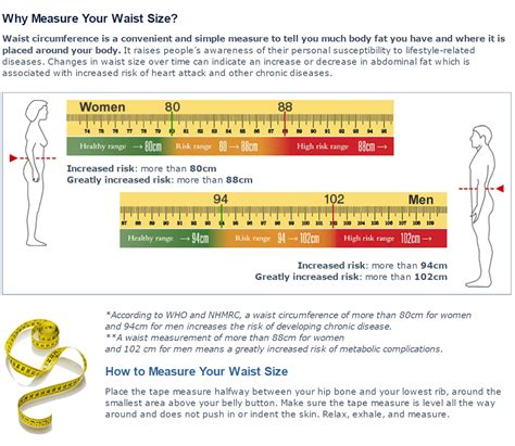 A Quick Health Check Your Waist Circumference — Freemasons Centre For