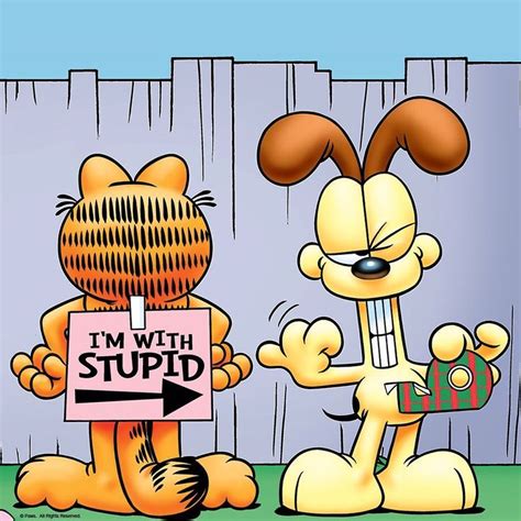 6196 Likes 49 Comments Garfield Garfield On Instagram Dogs
