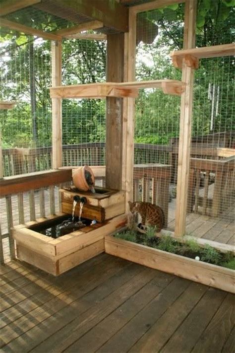Cat Fencing And Catio Ideas Secured Cat Garden Design Outdoor Cat