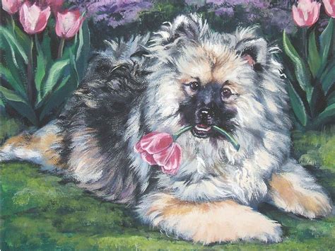 Keeshond Art Print Canvas Print Of La Shepard By Thedoglover Dog Canvas