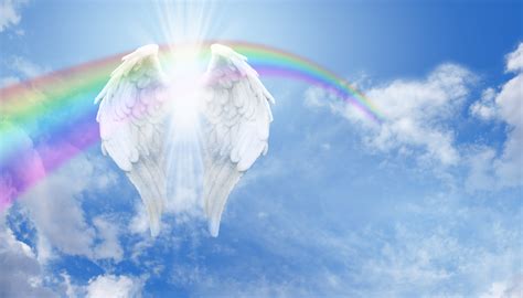 Heaven Angel Wings Background