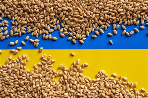 Ukraine Grain Harvest Nears Completion World Grain