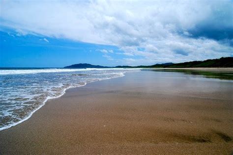 Las Baulas National Marine Park Playa Grande Costa Rica