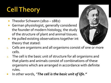 Ppt Cell Theory Powerpoint Presentation Free Download Id2937710