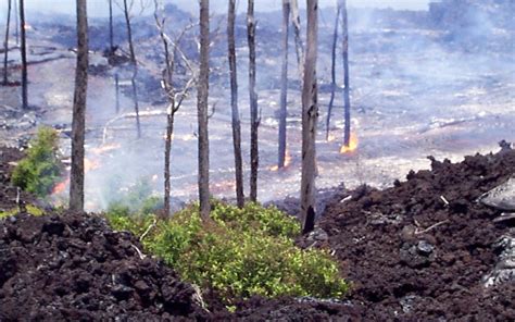 Lava Breakout Moves Through A Forest Us Geological Survey