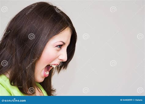 Portrait Of A Beautiful Woman Screaming Stock Image Image Of Aggressive Loud 6440899