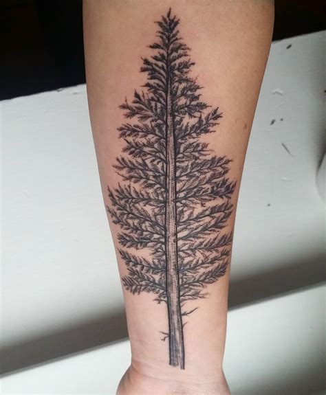 27 Best Pine Tree Tattoo Ideas Ideas In 2021