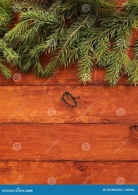 Christmas Pine Tree Background Stock Photo Image Of Pine Colorful