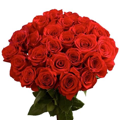 50 Stems Fresh Cut Red Roses Delivery For Valentines Day 50 Red