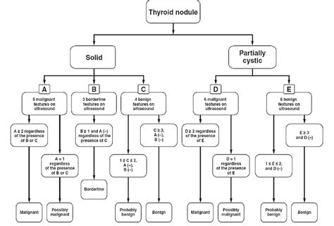 Algorithm For Thyroid Ultrasound Based Classification System Kim Et