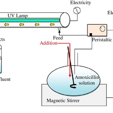 Possible Pathways Of Amoxicillin Degradation Download Scientific Diagram