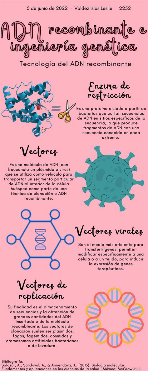 Infografía Adn Adn Recombinante E Ingeniería Genética 5 De Junio