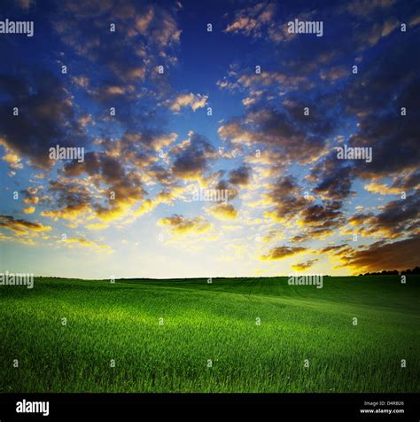 Dark Clouds Over Field With Grass Stock Photo Alamy