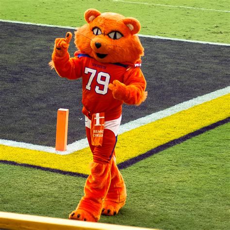 Students were drawn primarily from the increasingly diverse northeast georgia. Mascot | Squad | Spirit Programs | Sam Houston State ...