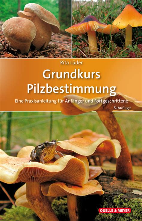 Grundkurs Pilzbestimmung von Rita Lüder | ISBN 978-3-494-01750-1 | Sachbuch online kaufen ...