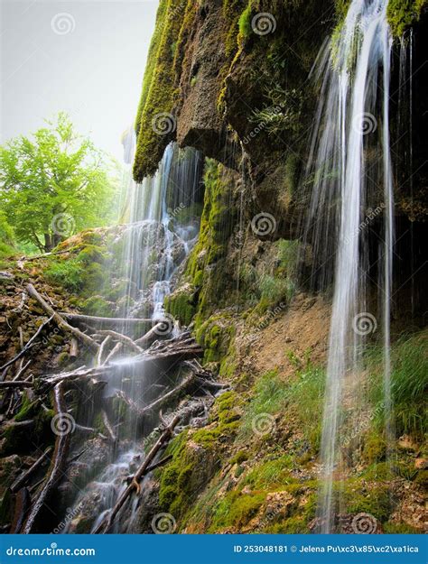 Sopotnica Waterfalls Serbia Stock Image Image Of Waterfalls Tree