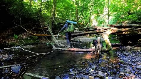 Days Survival Camping In Rain Forest Thunder Building Warm