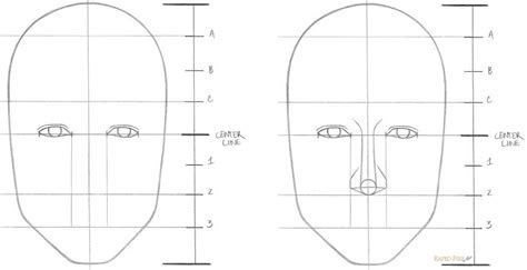Learn How To Draw A Face In 8 Easy Steps Beginners