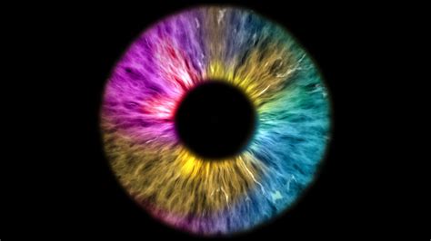 The Colored Eye Is Extreme Close Up Of Iris Stock Footage SBV 333869321