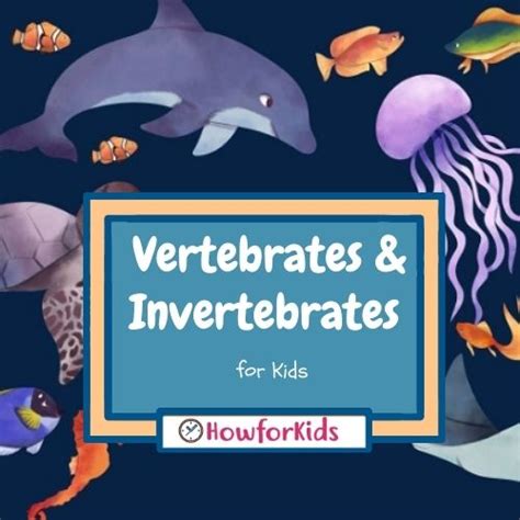 Invertebrates Classification For Kids