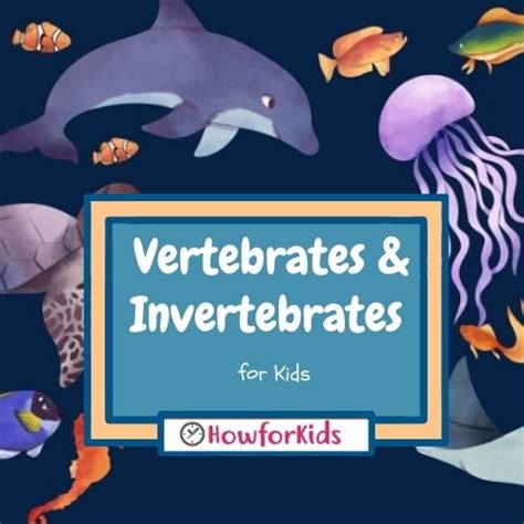 Vertebrates And Invertebrates For Kids Howforkids