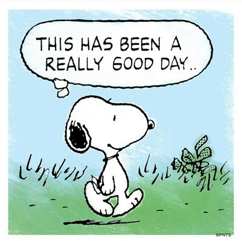 Today Has Been A Really Good Day Positive Snoopy Inspiration