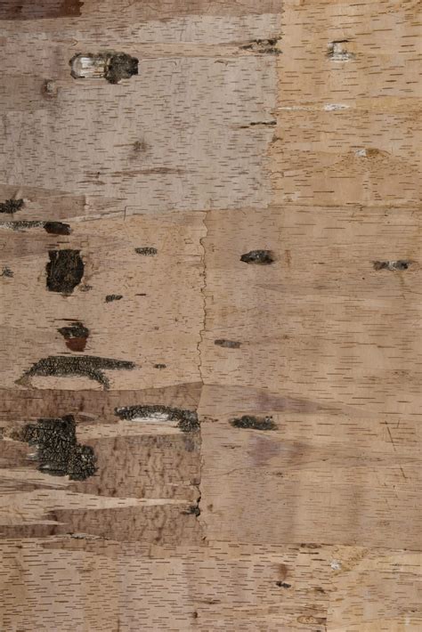 Birch Leather Wall Coverings Gallery Bark House®