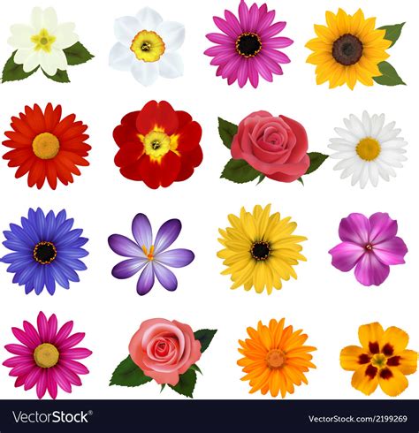 Big Collection Of Colorful Flowers Royalty Free Vector Image