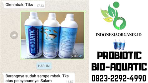 See more of agen hayati pestisida organik nasa on facebook. Agen Probiotic Tambak Udang Vaname di Padang - Wa_0823 ...