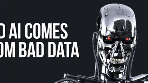 Bad Ai Comes From Bad Data Huffpost