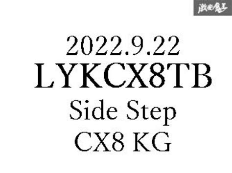 【楽天市場】マツダ cx8 cx 8 ランニングボード サイド ステップ ステンレス付き 左右 kg系 2017年~ lyk製：わくわくファイネスト